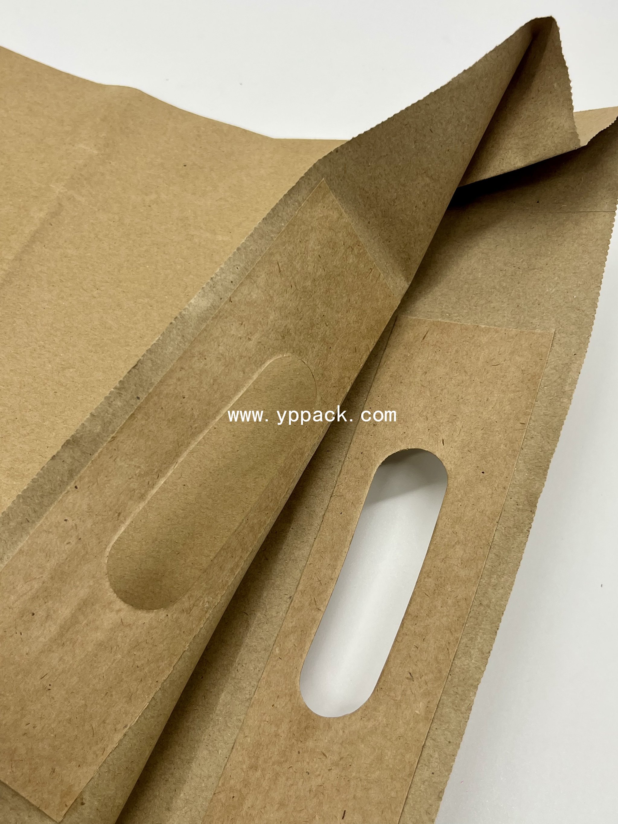 Paper Shopping Bag